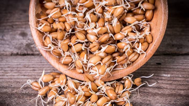 The low down on Sprouted Wheat